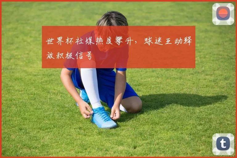 世界杯社媒热度攀升，球迷互动释放积极信号