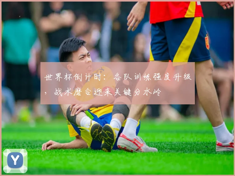 世界杯倒计时：各队训练强度升级，战术磨合迎来关键分水岭