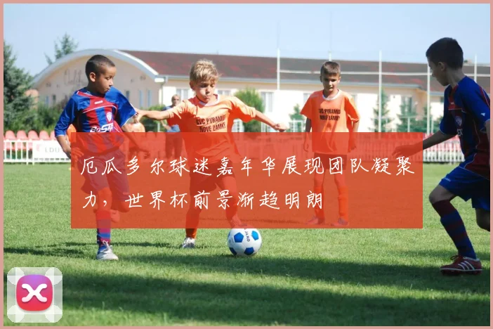 厄瓜多尔球迷嘉年华展现团队凝聚力，世界杯前景渐趋明朗
