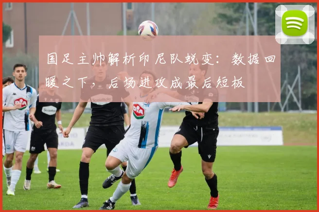 国足主帅解析印尼队蜕变：数据回暖之下，后场进攻成最后短板